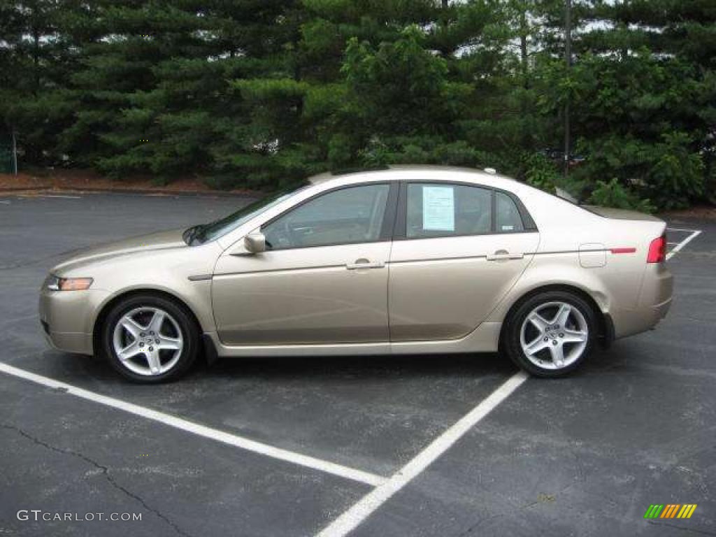 Desert Mist Metallic Acura TL