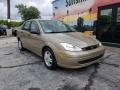 Fort Knox Gold Metallic - Focus SE Sedan Photo No. 7