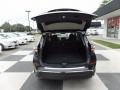 Magnetic Black - Murano SL Photo No. 5