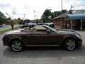 Tigereye Mica - SC 430 Convertible Photo No. 11