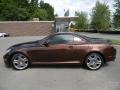 Tigereye Mica - SC 430 Convertible Photo No. 12