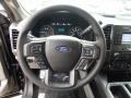 Earth Gray Steering Wheel Photo for 2018 Ford F150 #122485292