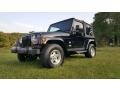 Black Clearcoat - Wrangler Sahara 4x4 Photo No. 3