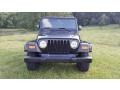 Black Clearcoat - Wrangler Sahara 4x4 Photo No. 6