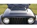 Black Clearcoat - Wrangler Sahara 4x4 Photo No. 7