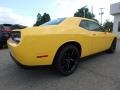 Yellow Jacket - Challenger R/T Photo No. 6