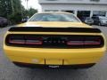 Yellow Jacket - Challenger R/T Photo No. 7