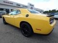 Yellow Jacket - Challenger R/T Photo No. 8