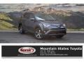 2017 Magnetic Gray Metallic Toyota RAV4 XLE  photo #1