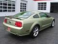 2006 Legend Lime Metallic Ford Mustang GT Premium Coupe  photo #12