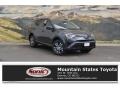 Magnetic Gray Metallic - RAV4 LE Photo No. 1
