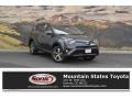 Magnetic Gray Metallic - RAV4 XLE Photo No. 1