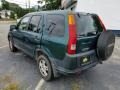 2003 Clover Green Pearl Honda CR-V EX 4WD  photo #3