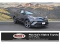 2018 Magnetic Gray Metallic Toyota C-HR XLE  photo #1