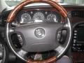 Platinum Silver Metallic - XJ Vanden Plas Photo No. 3