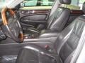 Platinum Silver Metallic - XJ Vanden Plas Photo No. 5