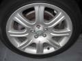 Platinum Silver Metallic - XJ Vanden Plas Photo No. 13