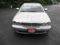 Platinum Silver Metallic - XJ Vanden Plas Photo No. 14