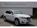 Alpine White - X5 xDrive35i Photo No. 1
