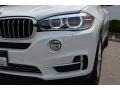 Alpine White - X5 xDrive35i Photo No. 32
