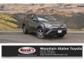 2017 Magnetic Gray Metallic Toyota RAV4 LE  photo #1