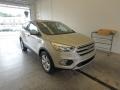 2017 White Gold Ford Escape SE 4WD  photo #1