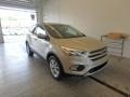 2017 White Gold Ford Escape SE 4WD  photo #1