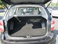 Dark Gray Metallic - Forester 2.5i Photo No. 20
