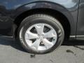 Dark Gray Metallic - Forester 2.5i Photo No. 22