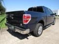 2013 Blue Jeans Metallic Ford F150 XLT SuperCrew  photo #7