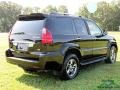 Black Onyx - GX 470 Photo No. 3