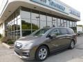 Pacific Pewter Metallic - Odyssey EX-L Photo No. 1