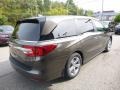 Pacific Pewter Metallic - Odyssey EX-L Photo No. 4