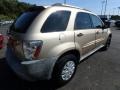 2005 Sandstone Metallic Chevrolet Equinox LS  photo #4