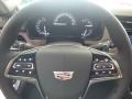 Radiant Silver Metallic - CTS Luxury AWD Photo No. 19