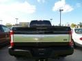 Shadow Black - F450 Super Duty Platinum Crew Cab 4x4 Photo No. 5