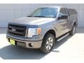 2013 Sterling Gray Metallic Ford F150 STX Regular Cab  photo #3