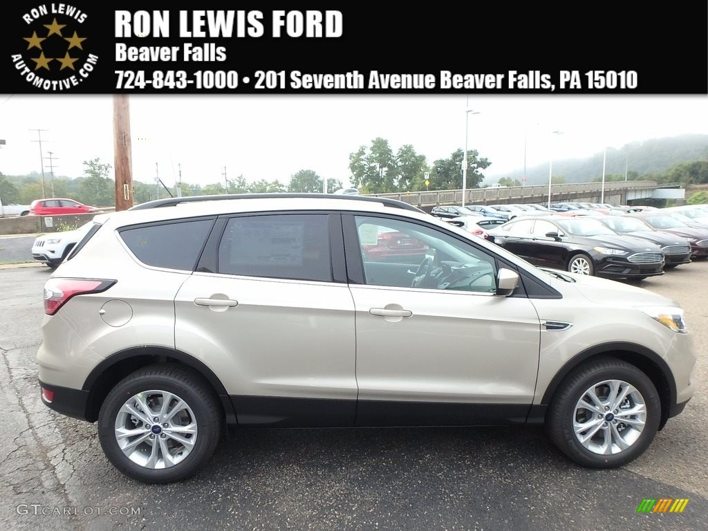 White Gold Ford Escape