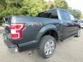 2018 Guard Ford F150 XLT SuperCrew 4x4  photo #2