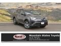Magnetic Gray Metallic - RAV4 LE Photo No. 1
