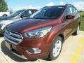 2018 Cinnamon Glaze Ford Escape SEL  photo #1