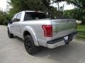 2017 Ingot Silver Ford F150 Platinum SuperCrew 4x4  photo #13