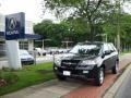 Nighthawk Black Pearl - MDX  Photo No. 1
