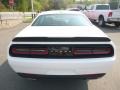 White Knuckle - Challenger SXT Photo No. 4