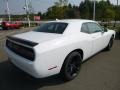 White Knuckle - Challenger SXT Photo No. 5