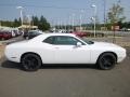 White Knuckle - Challenger SXT Photo No. 6