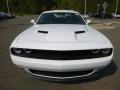 White Knuckle - Challenger SXT Photo No. 8
