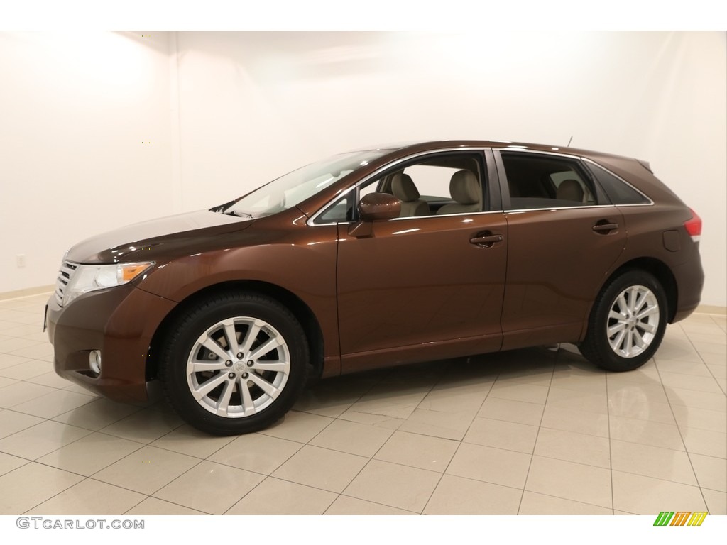 2009 Venza AWD - Sunset Bronze Mica / Ivory photo #3