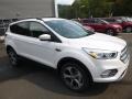 2017 White Platinum Ford Escape SE 4WD  photo #3