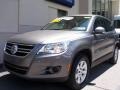 Alpine Grey Metallic - Tiguan S Photo No. 2